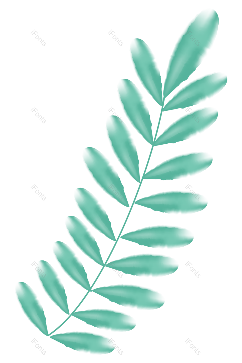 绿叶图片,花卉元素,花草PNG,树叶免抠素材